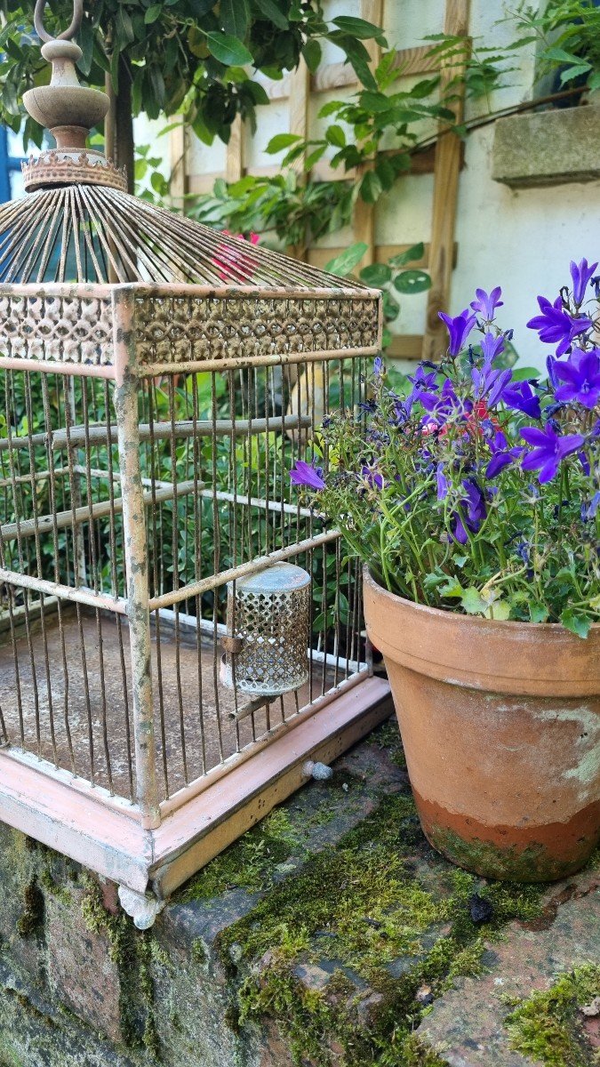 Charming Napoleon III Bird Cage-photo-4