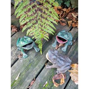 Old Cast Iron Frogs