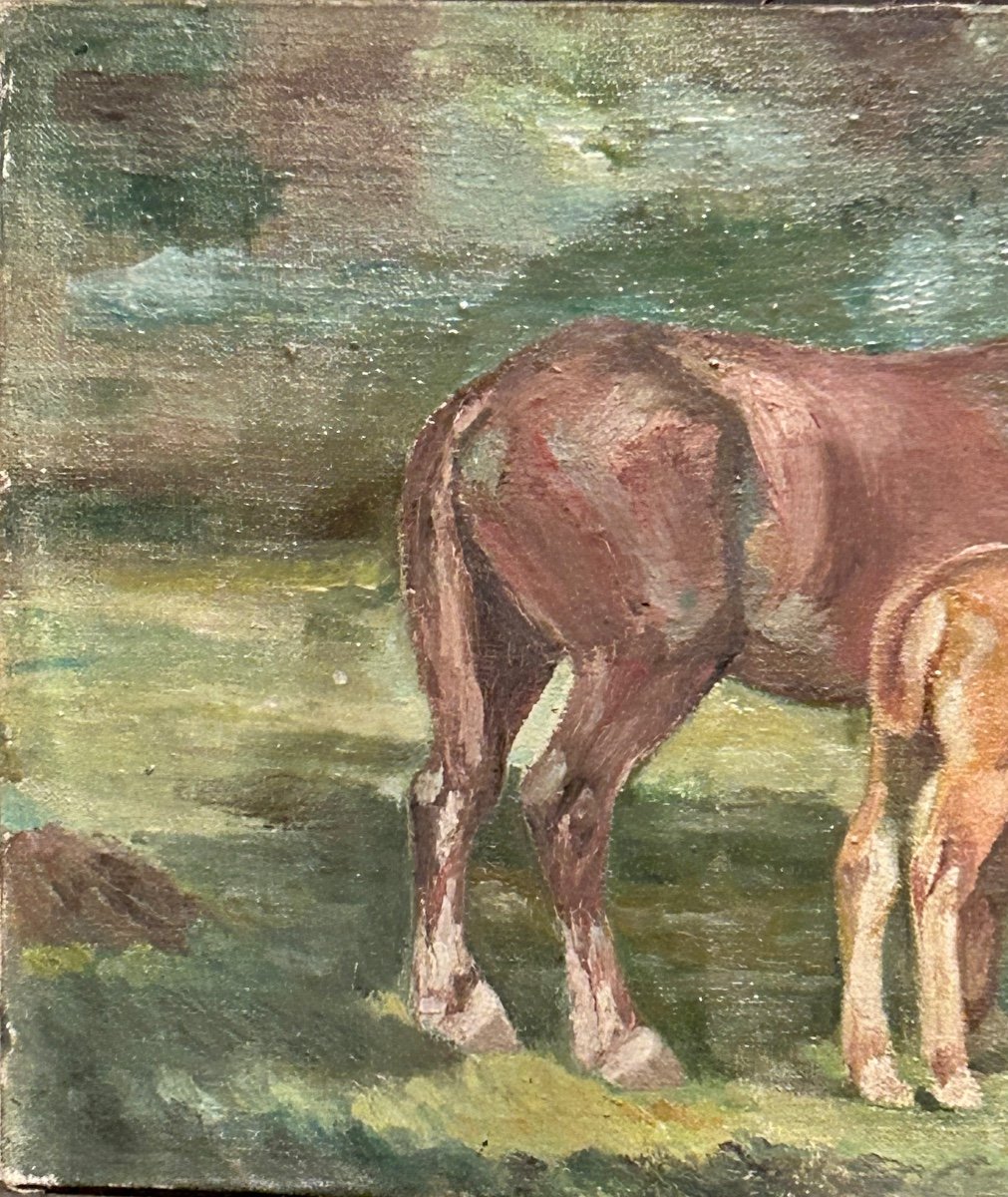 Oil On Canvas Depicting Horses-photo-2