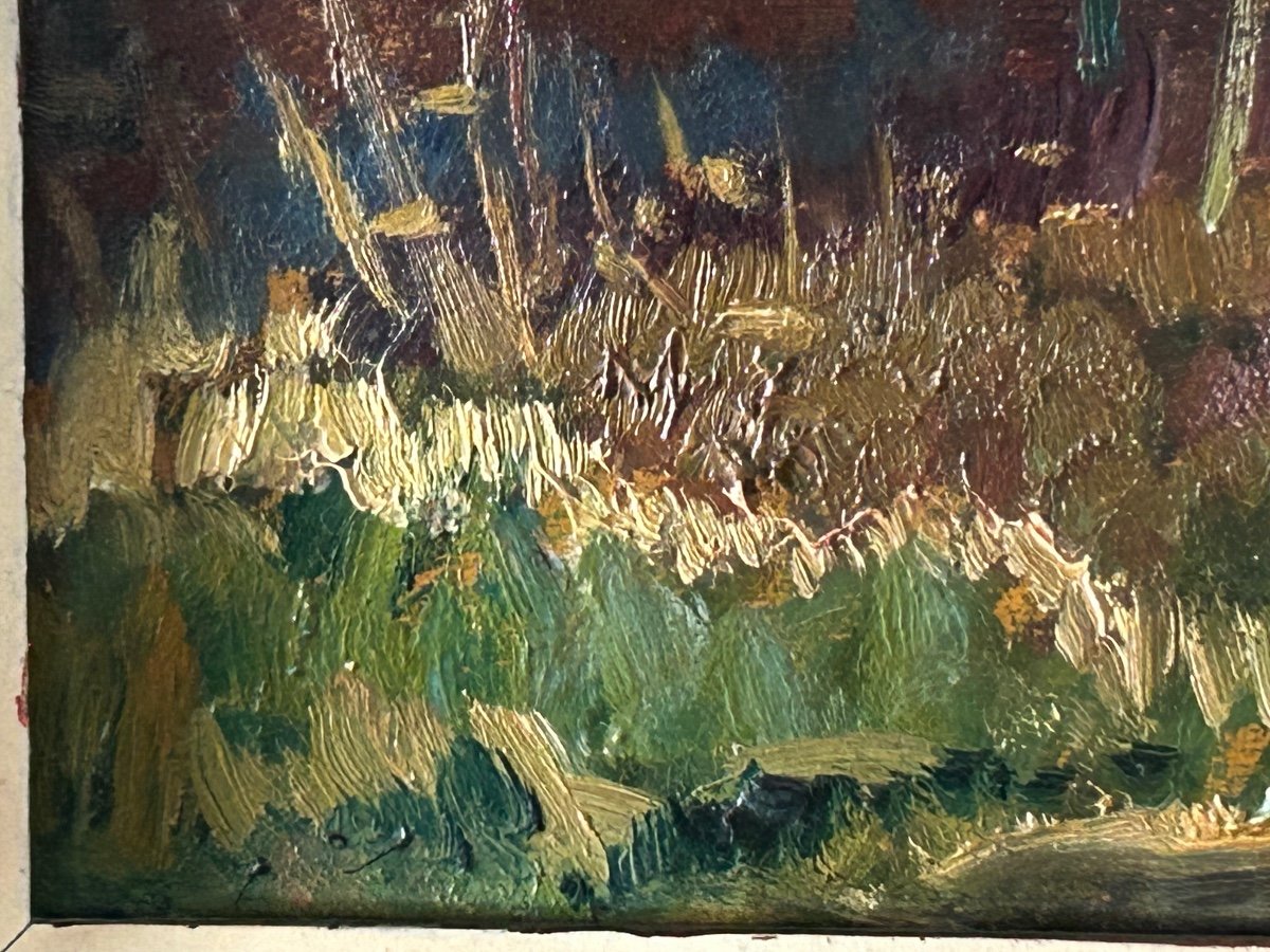 Oil On Cardboard, Illegible Signature -photo-7