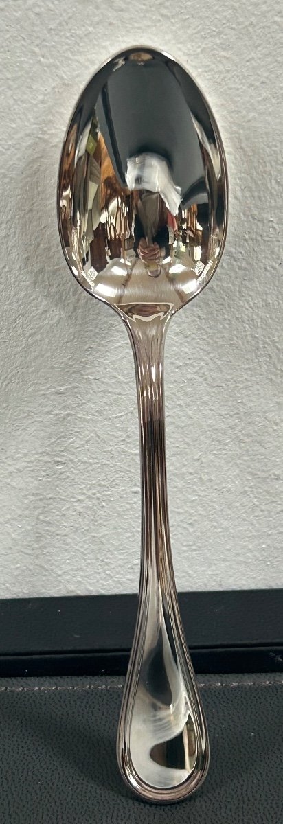 Christofle, 12 Albi Dessert Spoons-photo-3