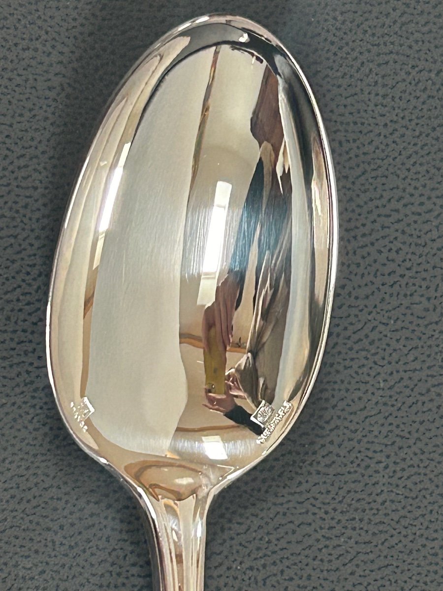 Christofle, 12 Albi Dessert Spoons-photo-3