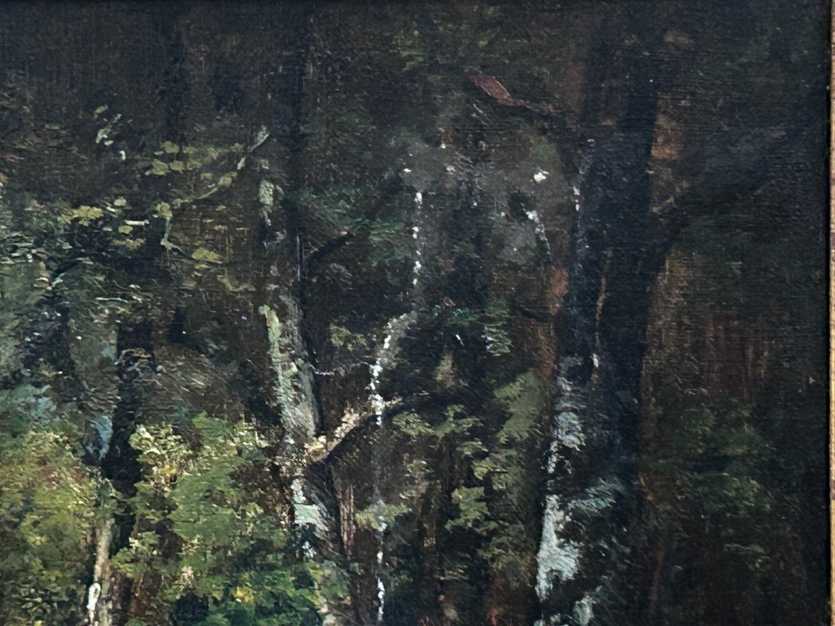 C. Magnus, Oil On Canvas Forest Landscape -photo-1