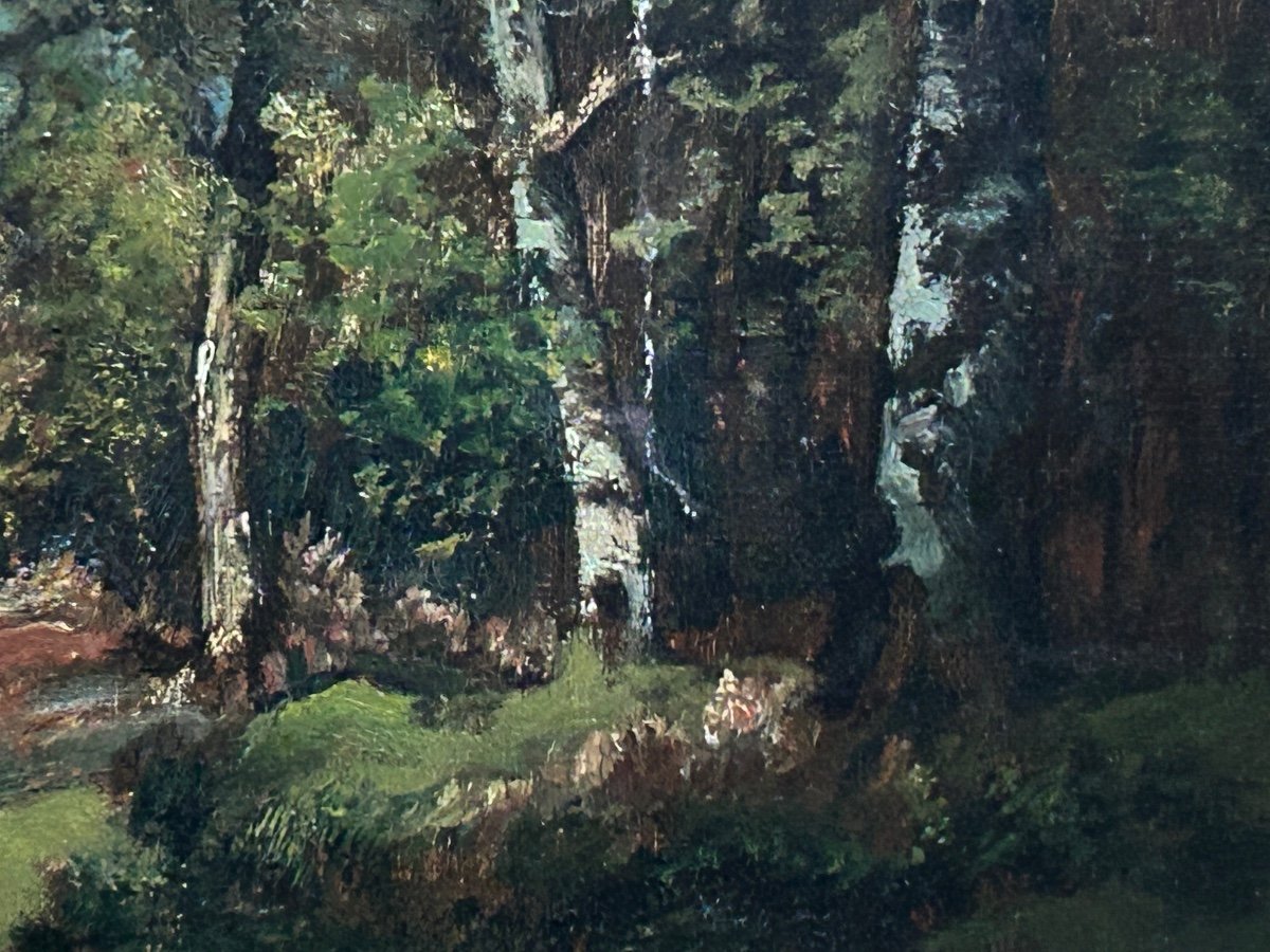 C. Magnus, Oil On Canvas Forest Landscape -photo-4