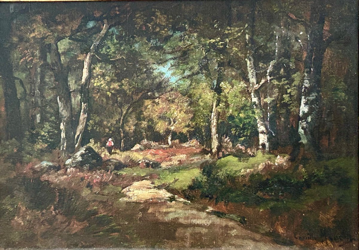 C. Magnus, Oil On Canvas Forest Landscape 