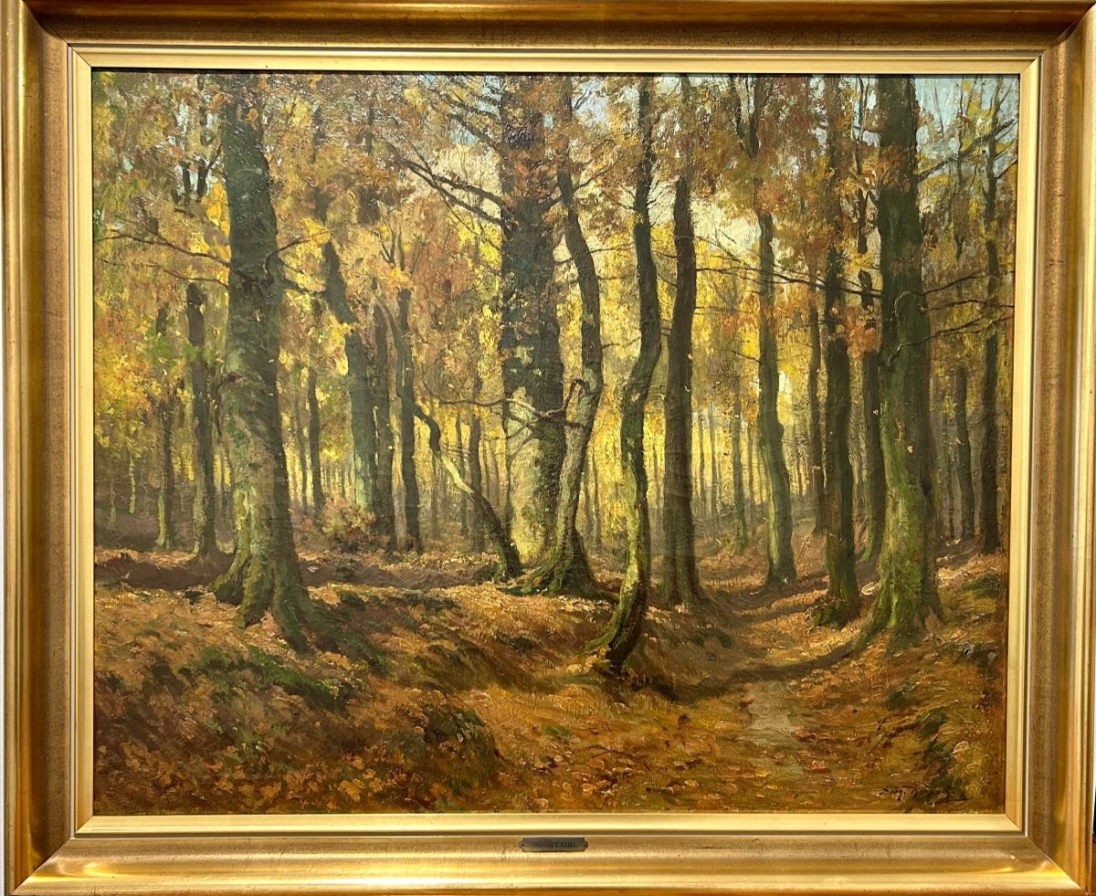 J. Karpathy, Sonian Forest Landscape -photo-2