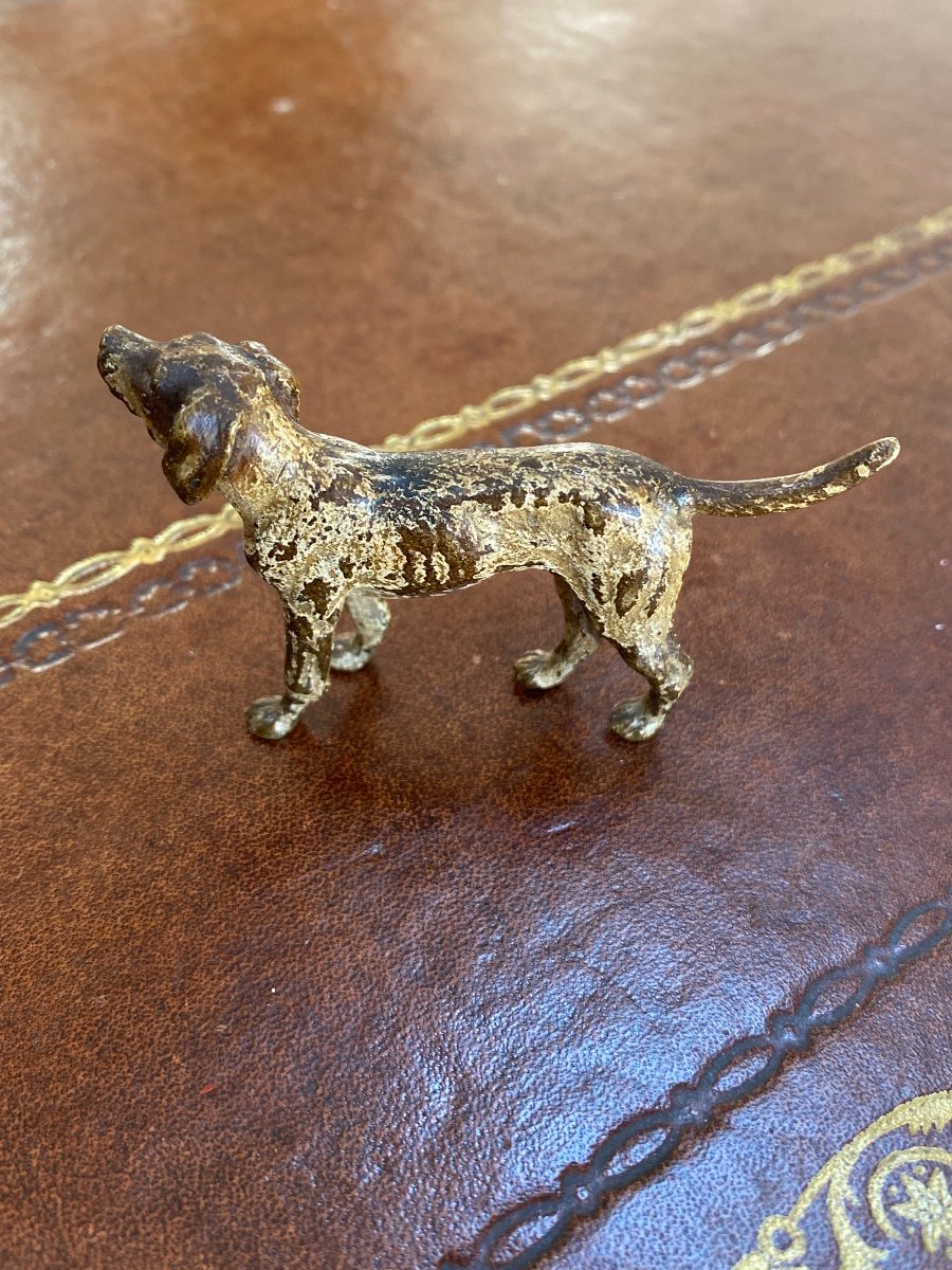 Chien, bronze de Vienne -photo-3