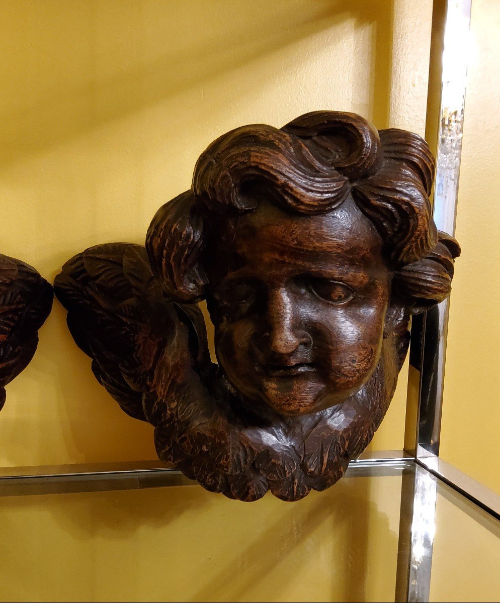 Baroque Cherubs, Wings Outstretched. Fruit Wood, 17th Century. -photo-8