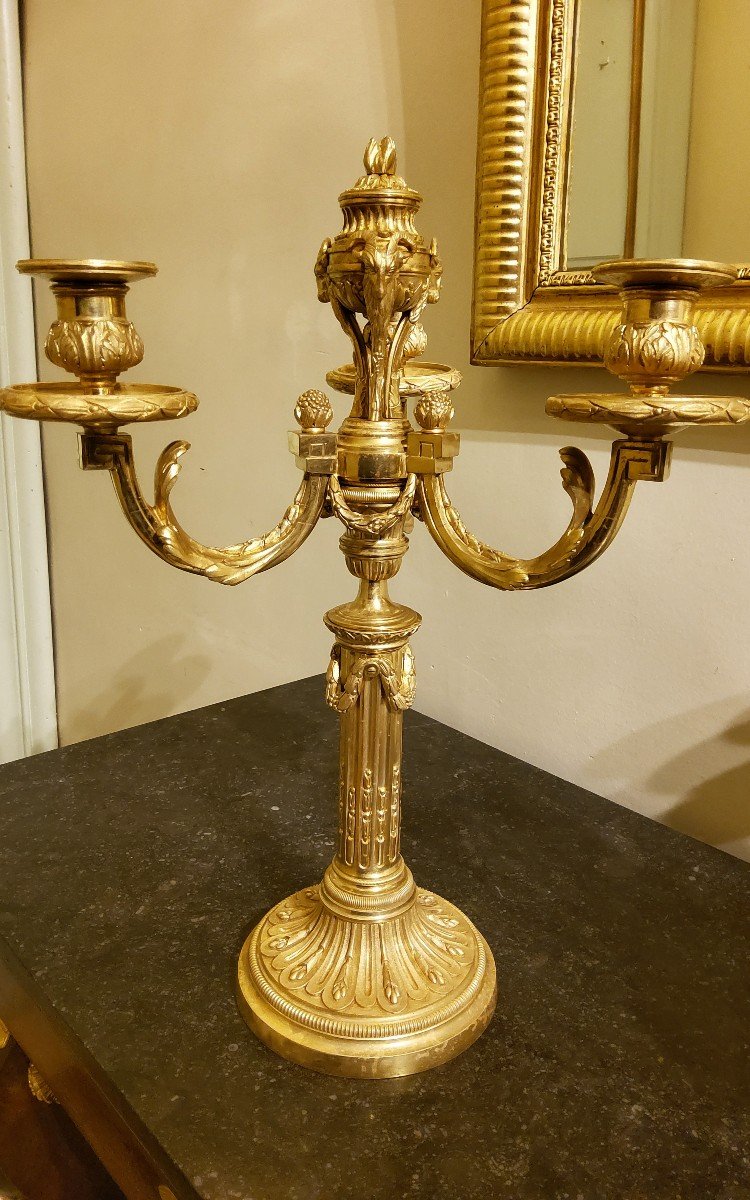 Pair Of Three-light Gilt Bronze Candelabras Louis XVI Delafosse Style Late 19th Century-photo-2