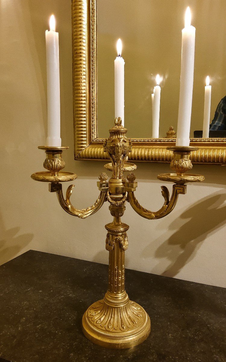 Pair Of Three-light Gilt Bronze Candelabras Louis XVI Delafosse Style Late 19th Century-photo-3