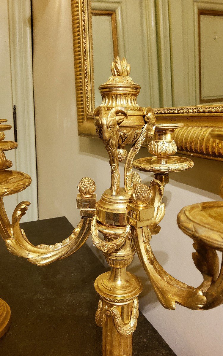 Pair Of Three-light Gilt Bronze Candelabras Louis XVI Delafosse Style Late 19th Century-photo-1