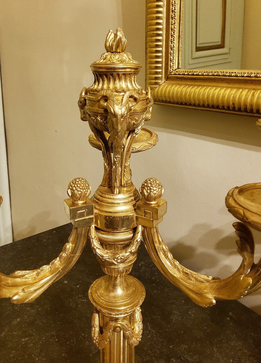 Pair Of Three-light Gilt Bronze Candelabras Louis XVI Delafosse Style Late 19th Century-photo-8