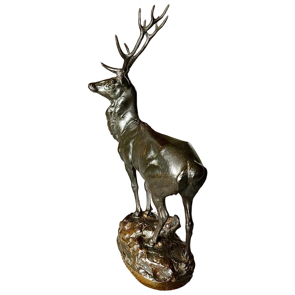 Cerf En Bronze Signé Maximilien Fiot-photo-3