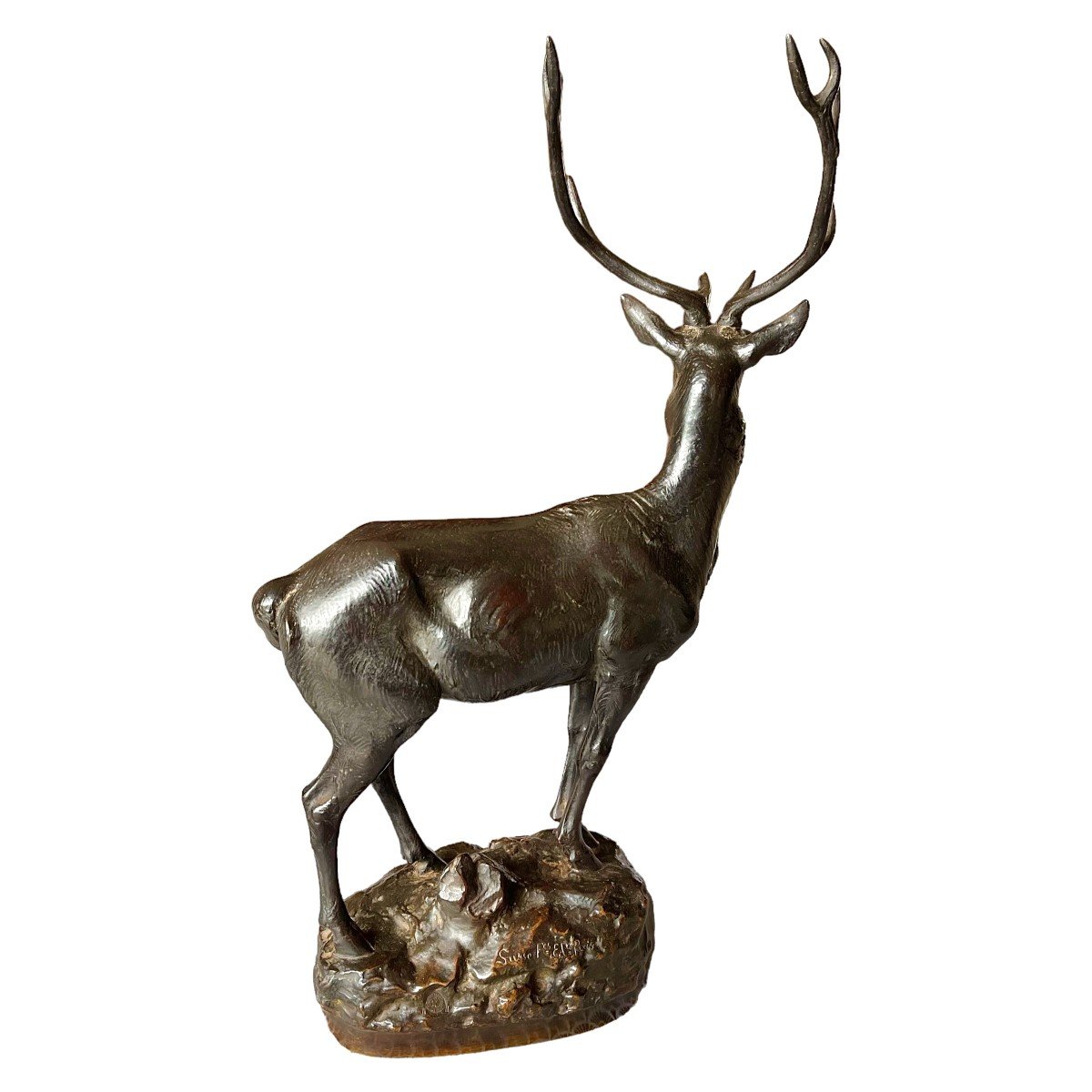 Cerf En Bronze Signé Maximilien Fiot-photo-4