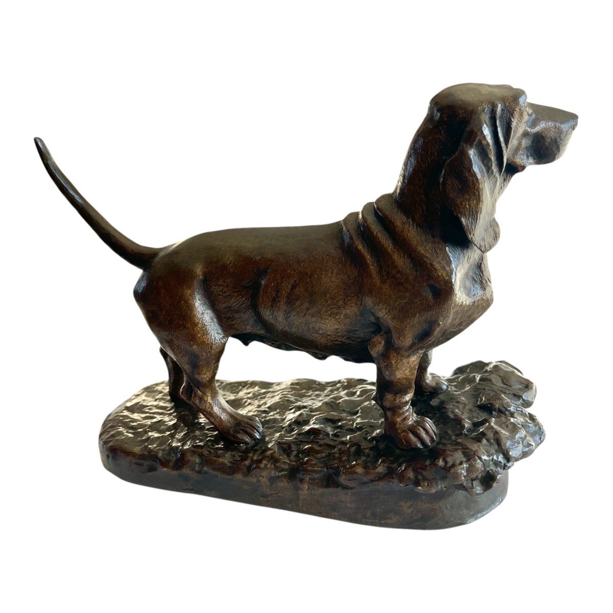 Chien En Bronze - Basset En Bronze XIXème Siècle-photo-3