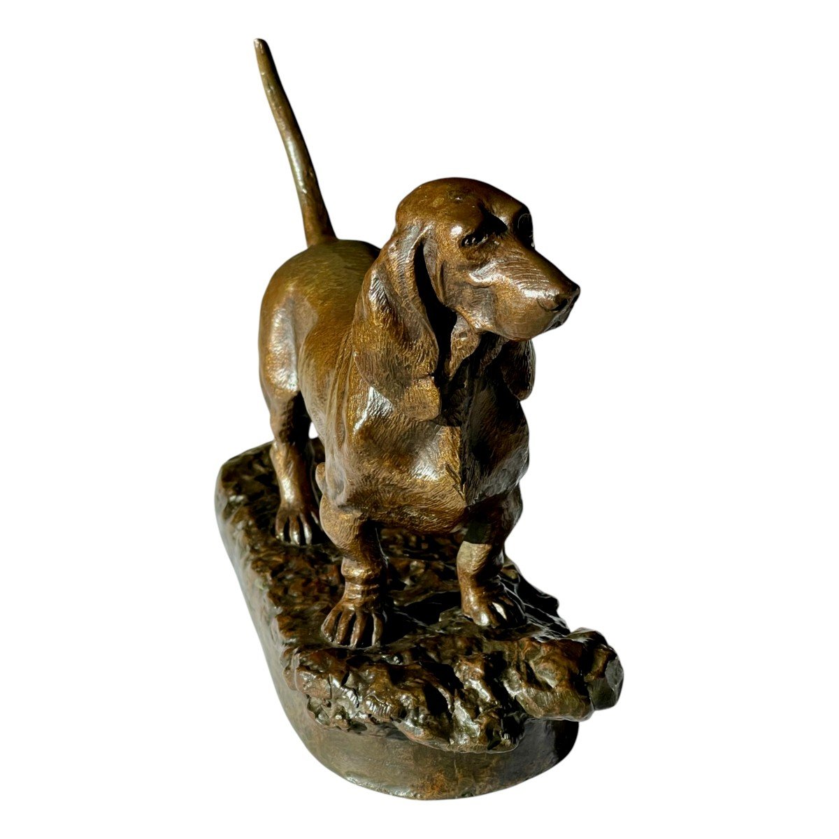 Chien En Bronze - Basset En Bronze XIXème Siècle-photo-2