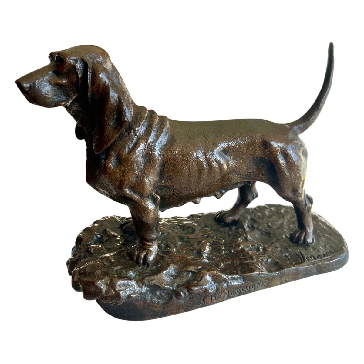 Chien En Bronze - Basset En Bronze XIXème Siècle