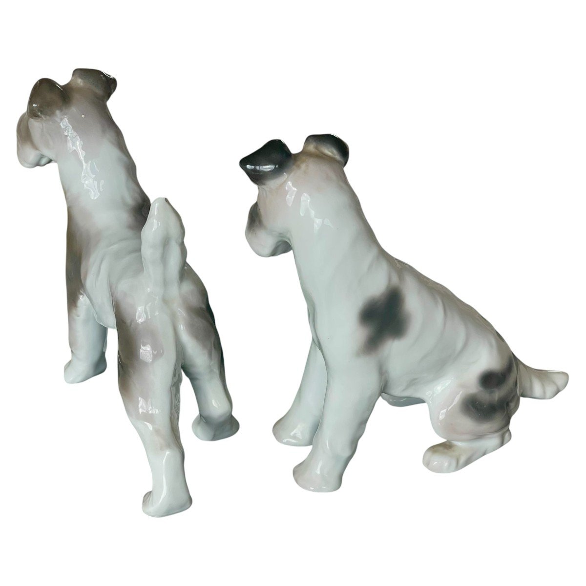 Paire De Chiens Fox Terrier En Porcelaine Pfeffer Porzellan Gotha-photo-4