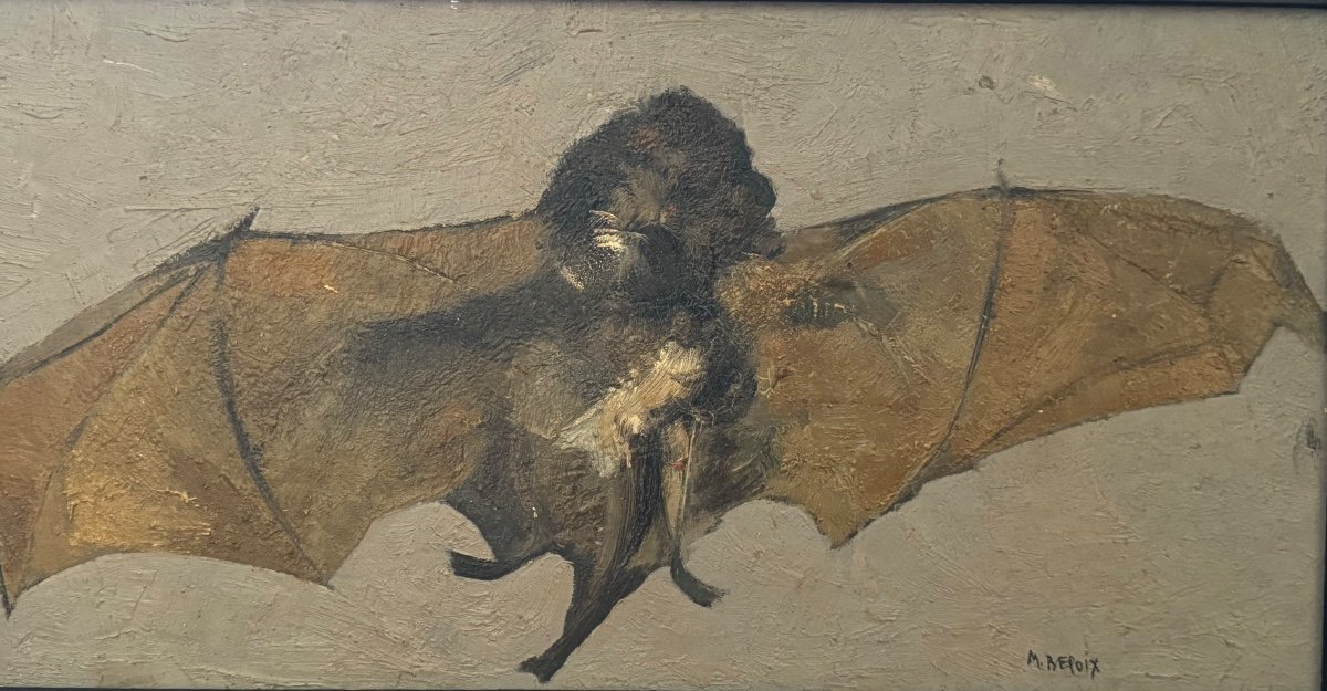 Portrait Of A Bat  -photo-3