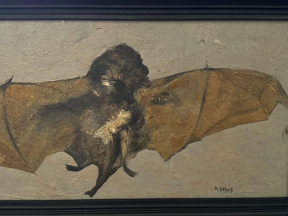 Portrait Of A Bat  -photo-4