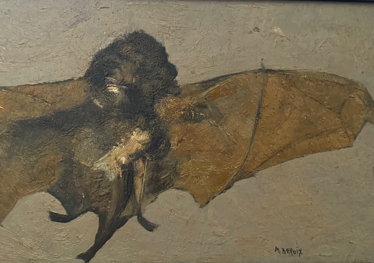 Portrait Of A Bat  -photo-2