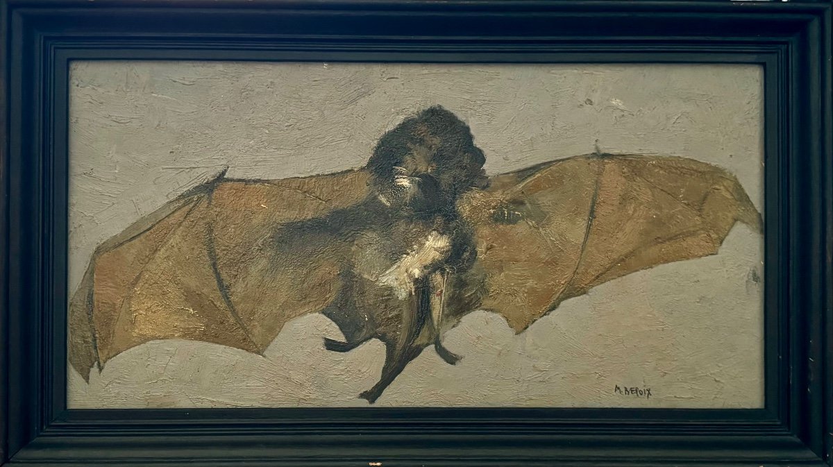 Portrait Of A Bat  