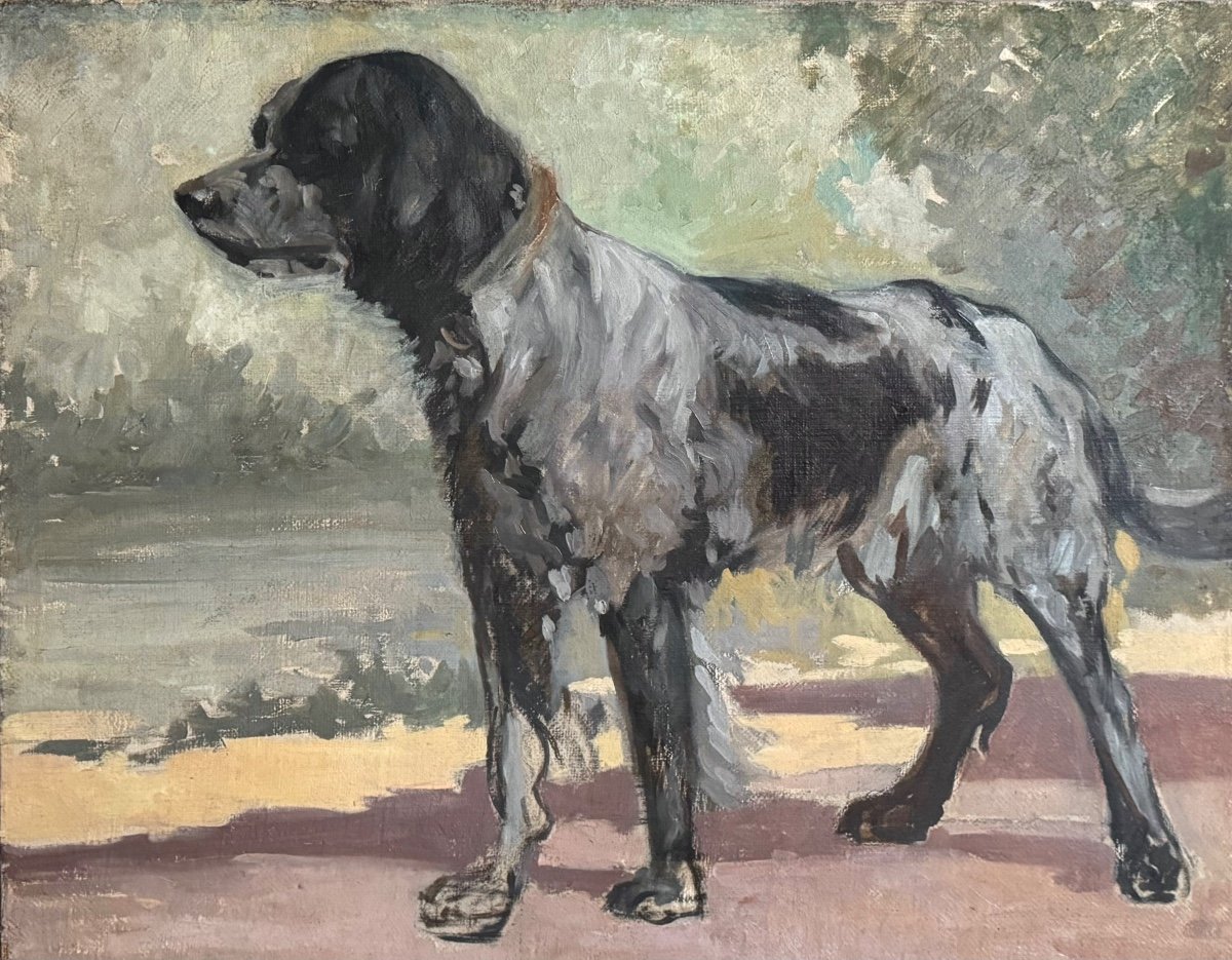 Portrait Of A Dog 