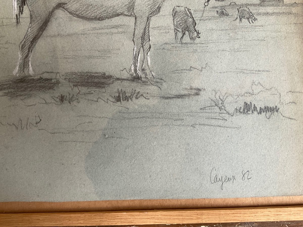 Drawing Of Wislin Horse And Cows 1882-photo-2