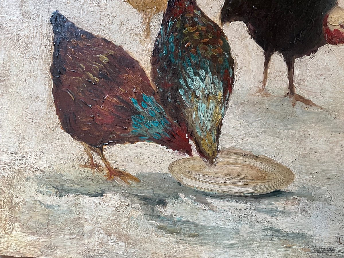 Chickens Oil On Canvas -photo-4