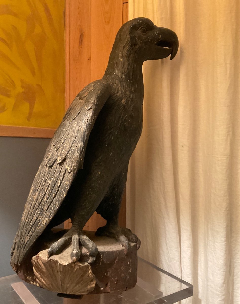 Large Wooden Eagle With Scallop Shell At The Base, 18th Century-photo-4