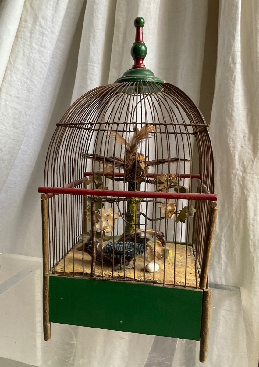 Bird Cage Automaton-photo-3