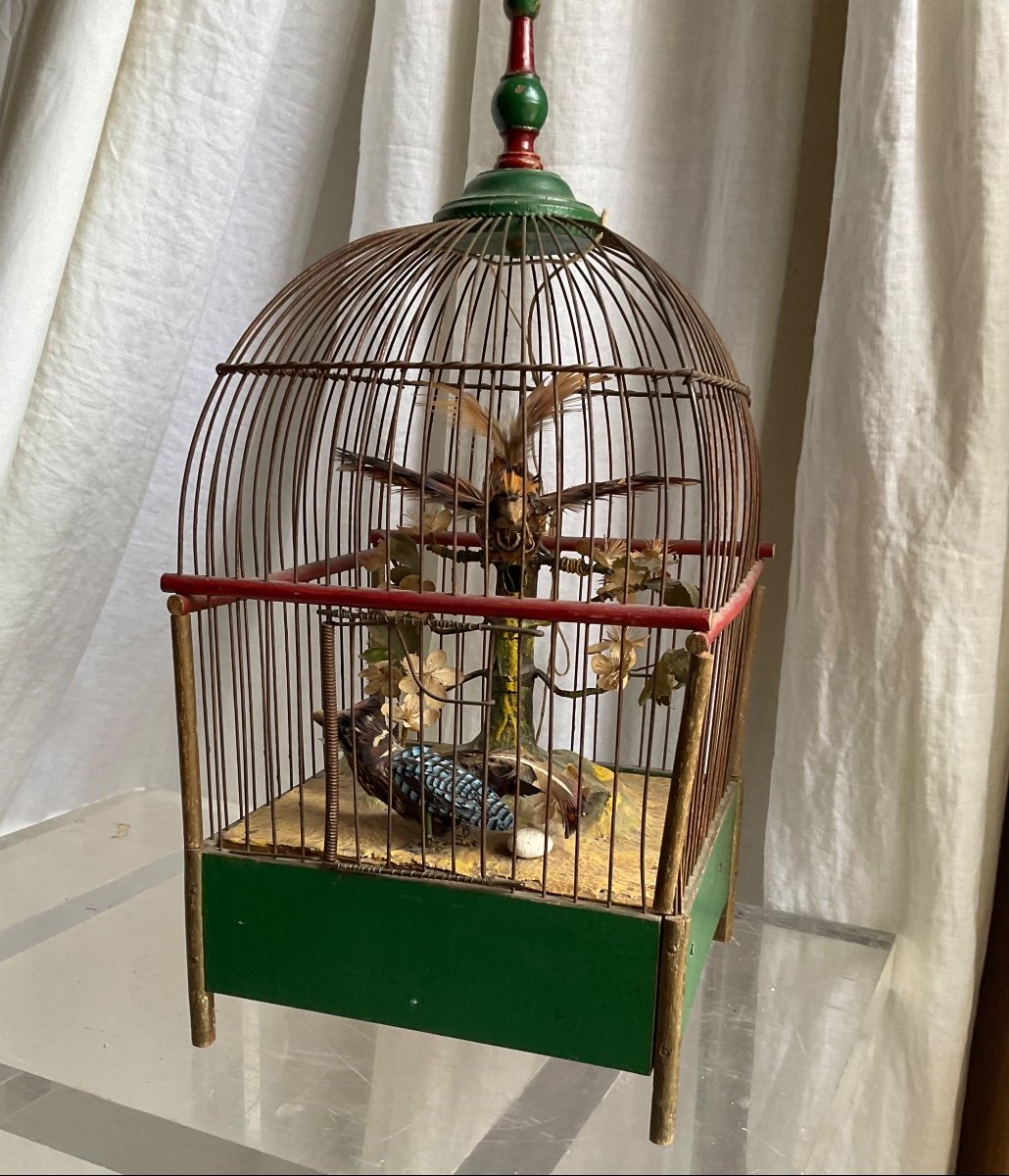 Bird Cage Automaton