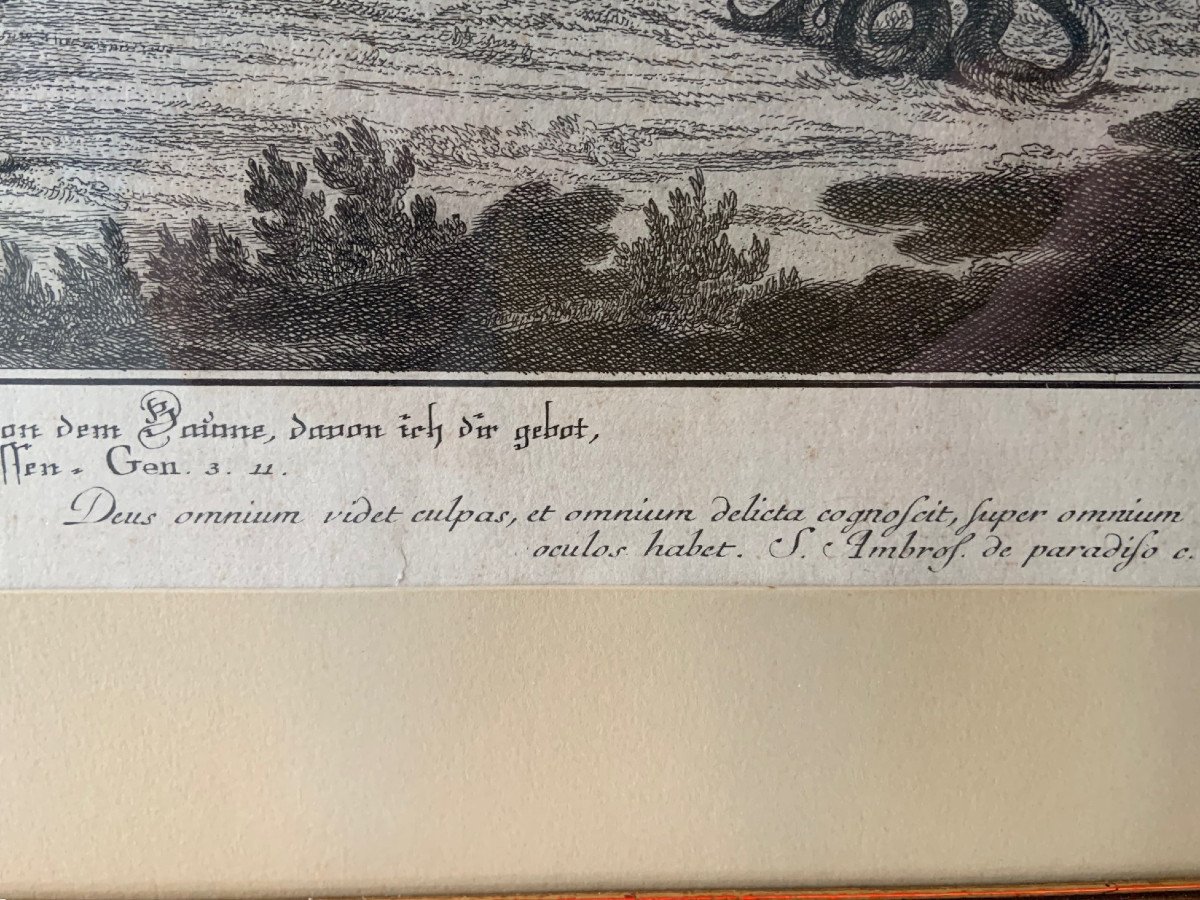 Ridinger, Johann Elias : (ulm 1698-1767 Augsburg, Allemagne) Le Paradis Ou La Création Et La Ch-photo-3