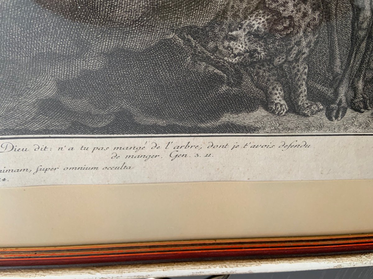 Ridinger, Johann Elias : (ulm 1698-1767 Augsburg, Allemagne) Le Paradis Ou La Création Et La Ch-photo-1