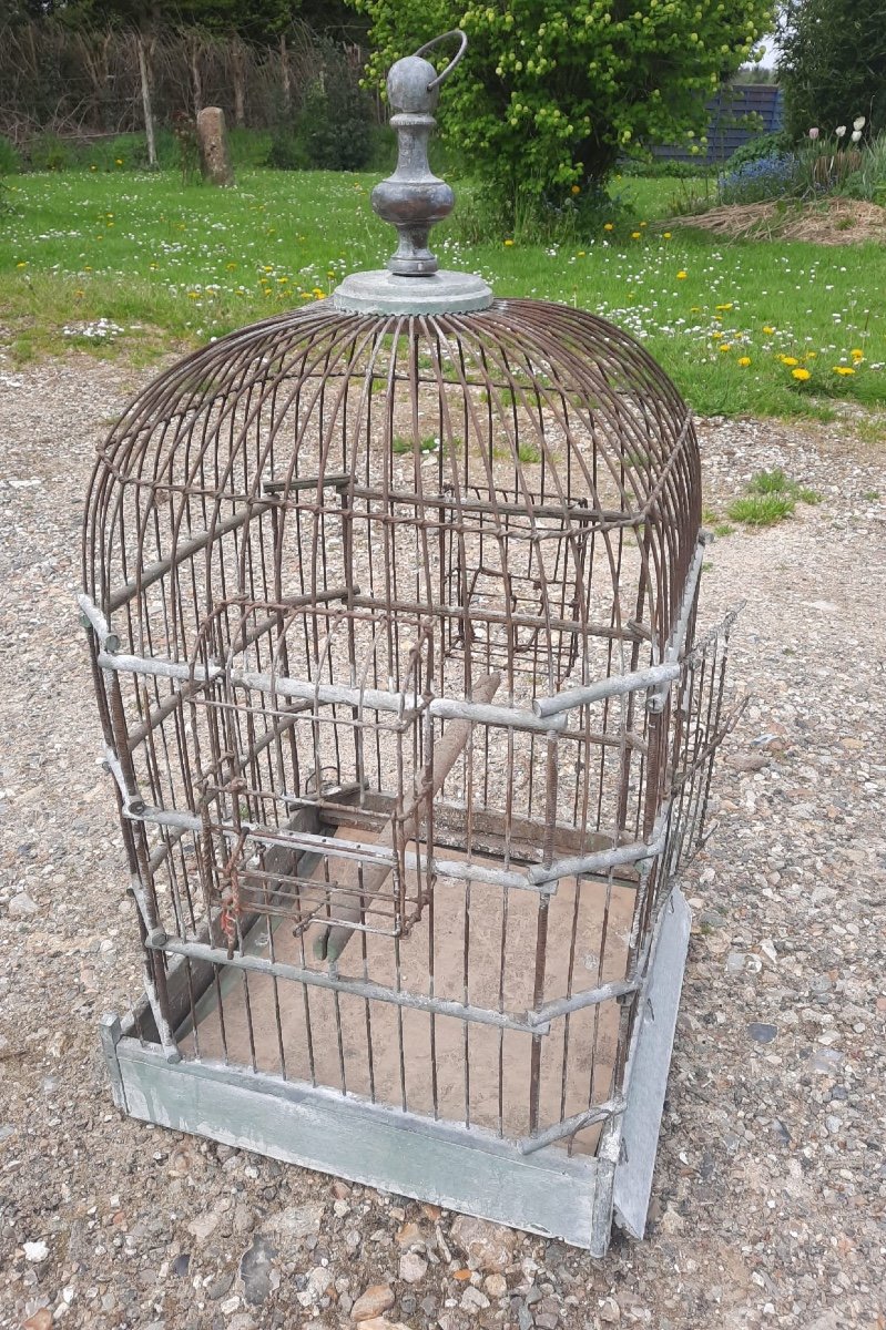Cage à Oiseaux -photo-6