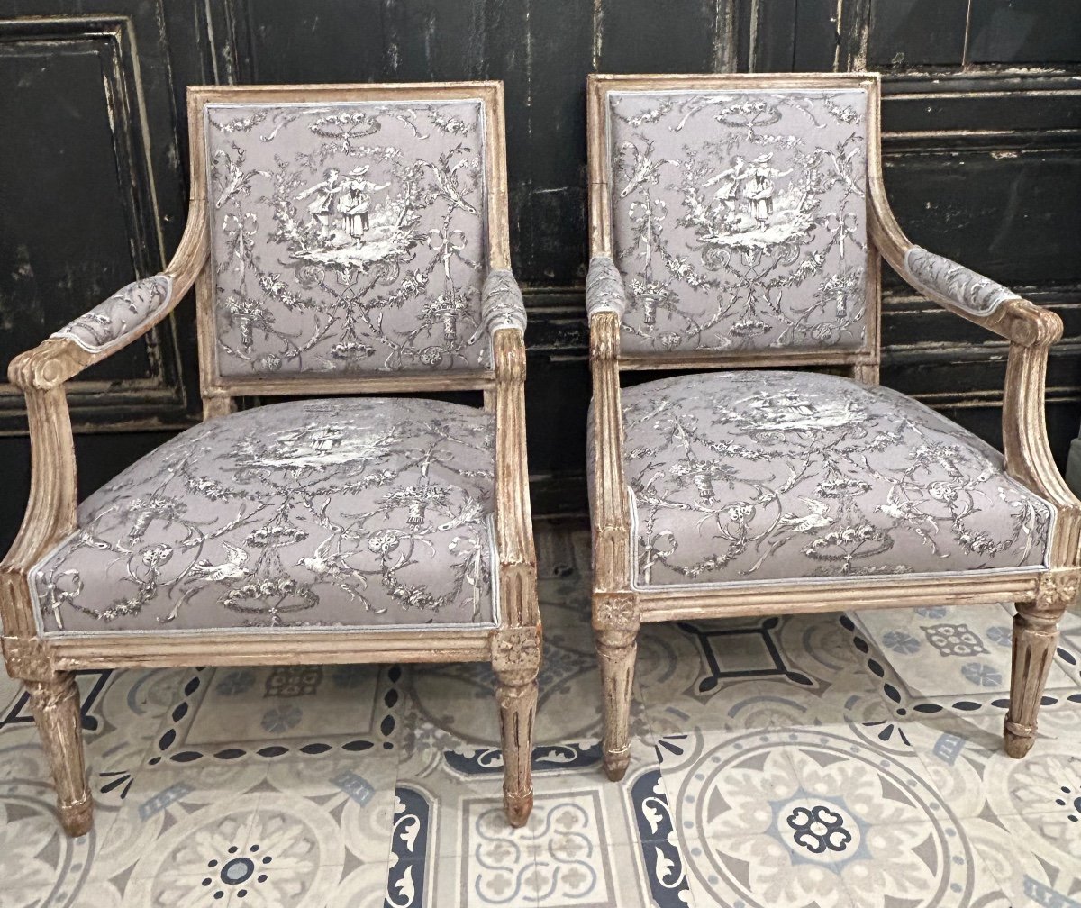 Paire De Fauteuils Louis XVI 