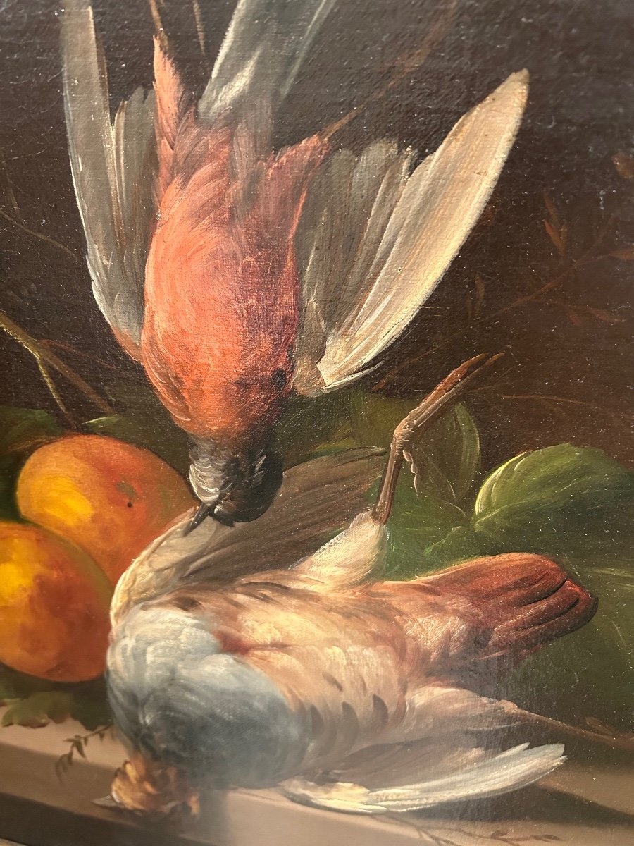 Paire De Tableaux Nature Morte Aux Oiseaux Et Fruits D’automne -photo-4