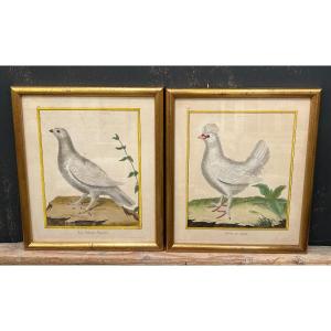 2 Framed Engravings Signed Martinest