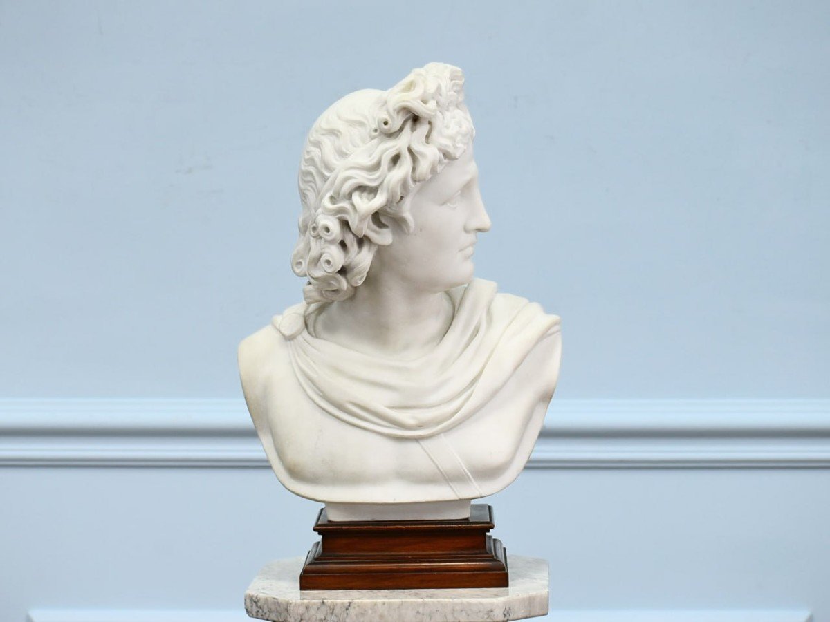 Ancient Marble Bust Of Apollo From Belvedere 19th Century -photo-1