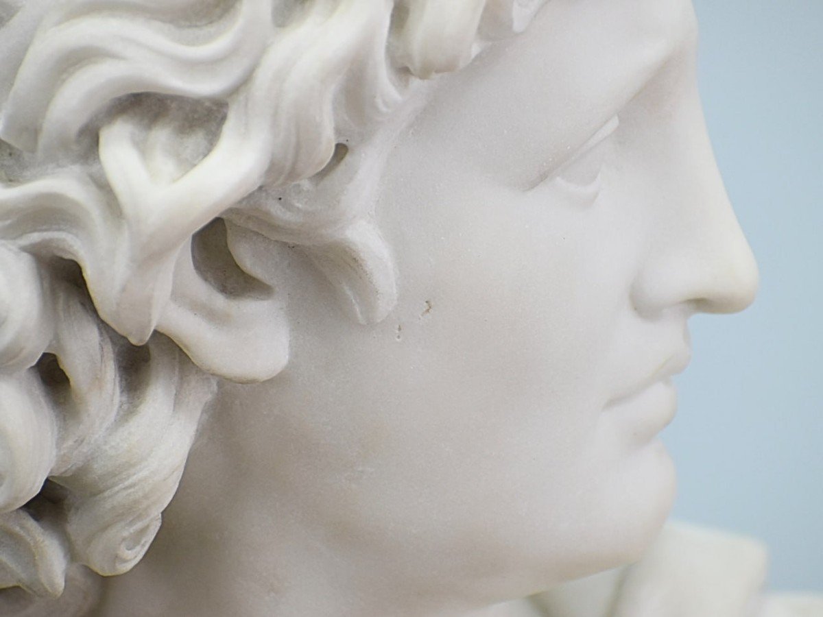 Ancient Marble Bust Of Apollo From Belvedere 19th Century -photo-2