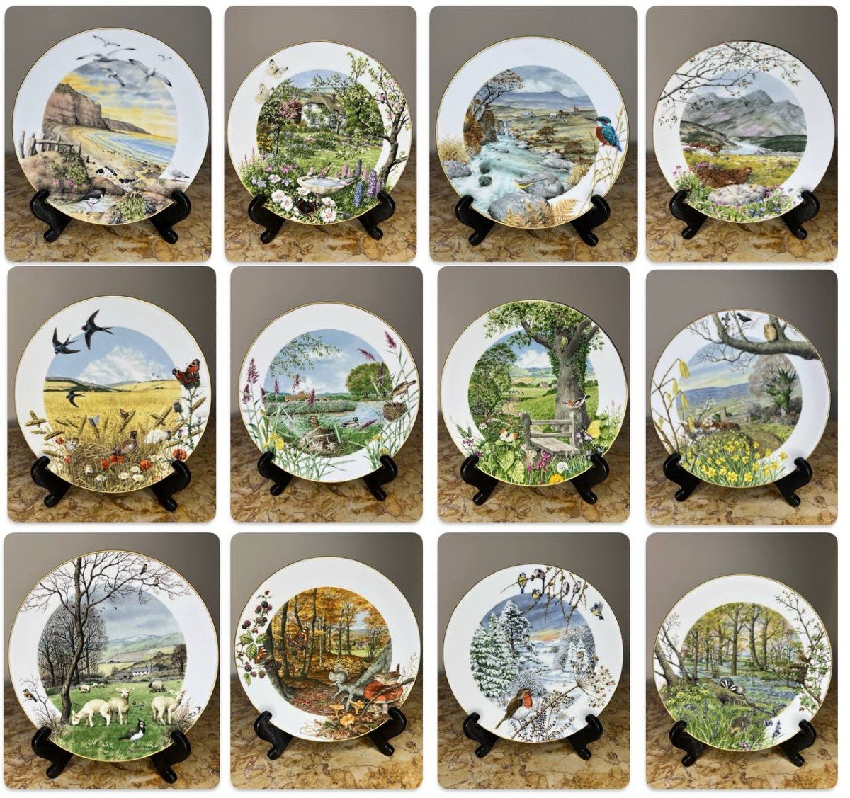 12 Collector Plates - Royal Worcester Limited By Peter Barnett 1979