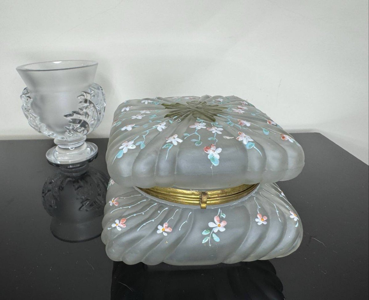 Napoleon III Flowers Enameled Glass Box-photo-4