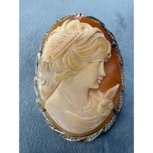 Antique Cameo Brooch Or Pendant