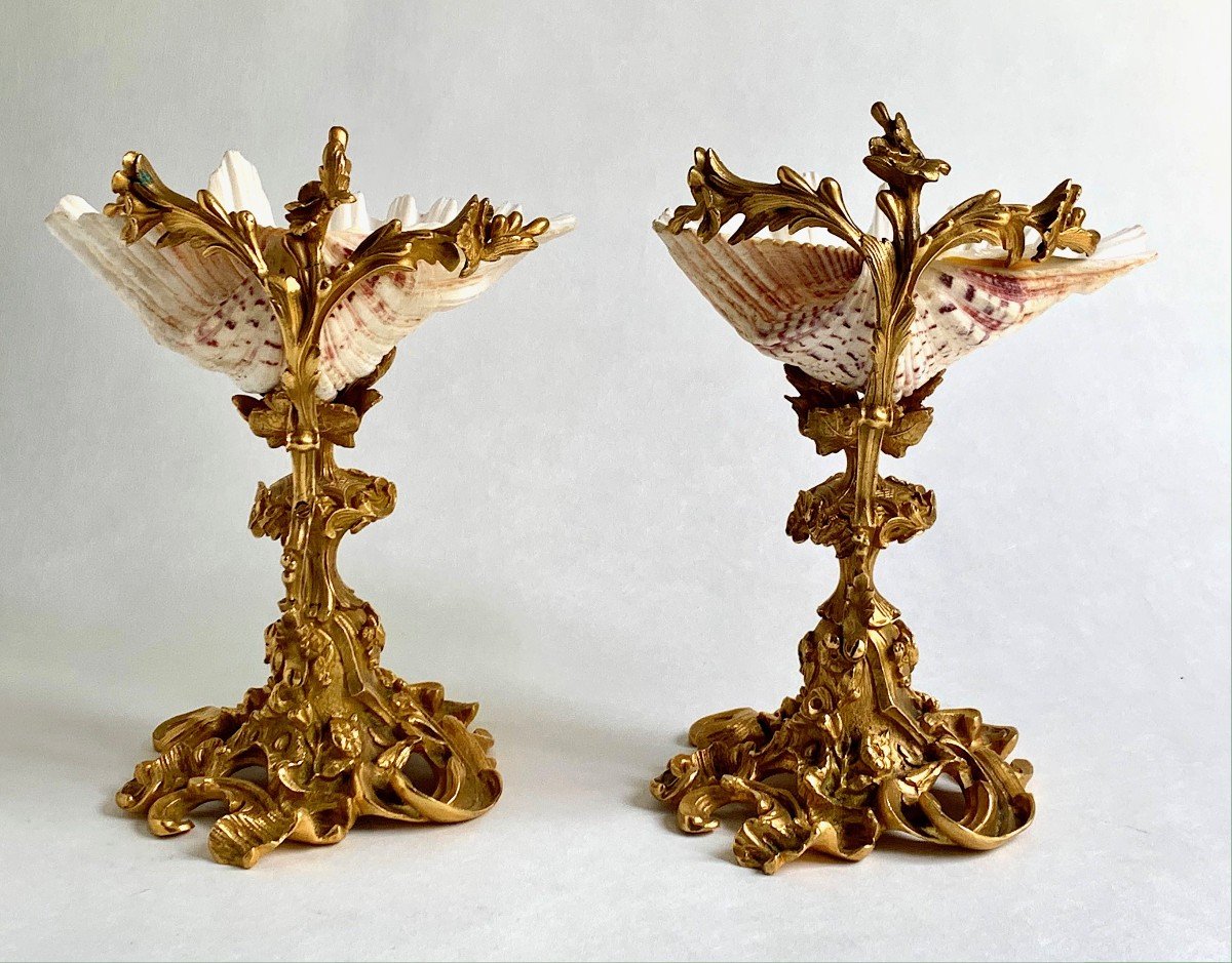 Pair Of Tazzas / Empty Pockets, Holy Water Shells, Louis XV - Cabinet Of Curiosities - 19th Century-photo-3
