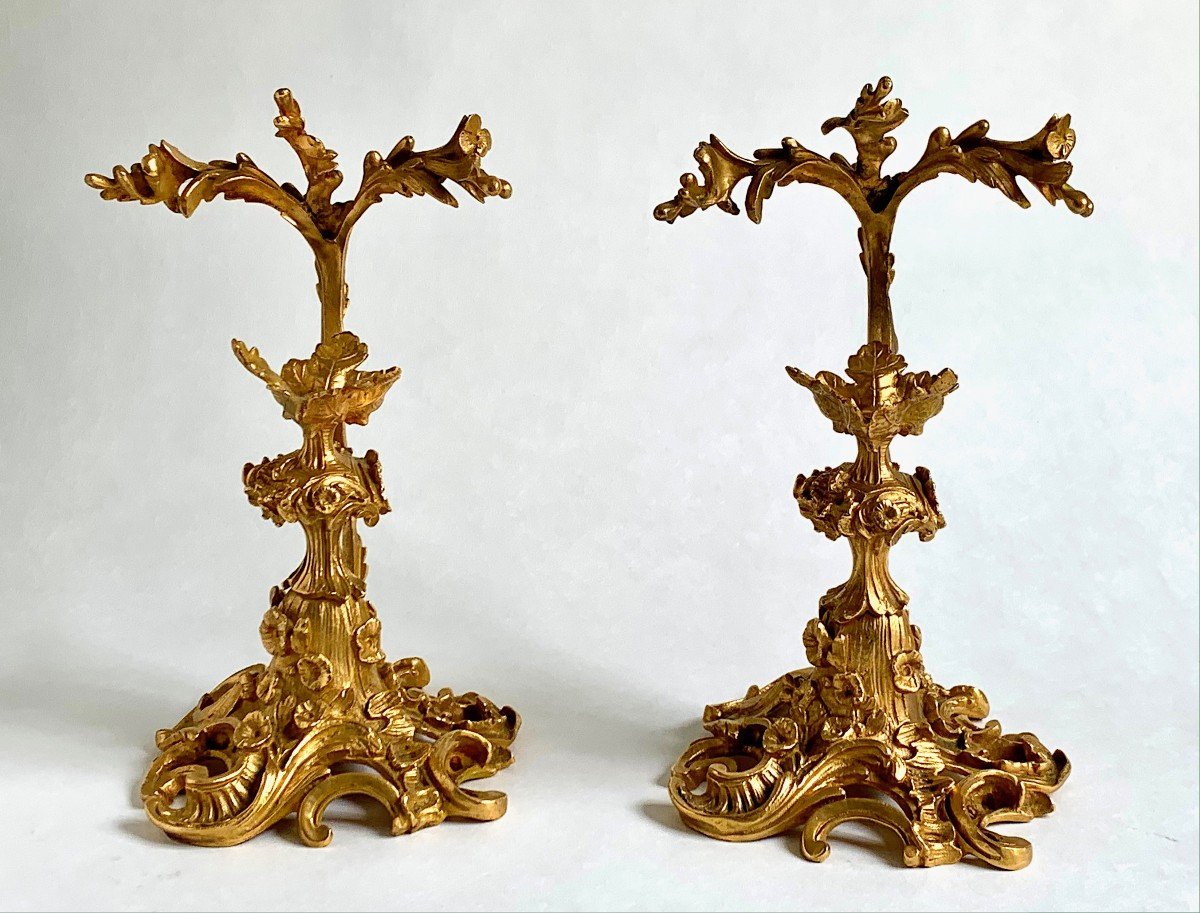 Pair Of Tazzas / Empty Pockets, Holy Water Shells, Louis XV - Cabinet Of Curiosities - 19th Century-photo-1