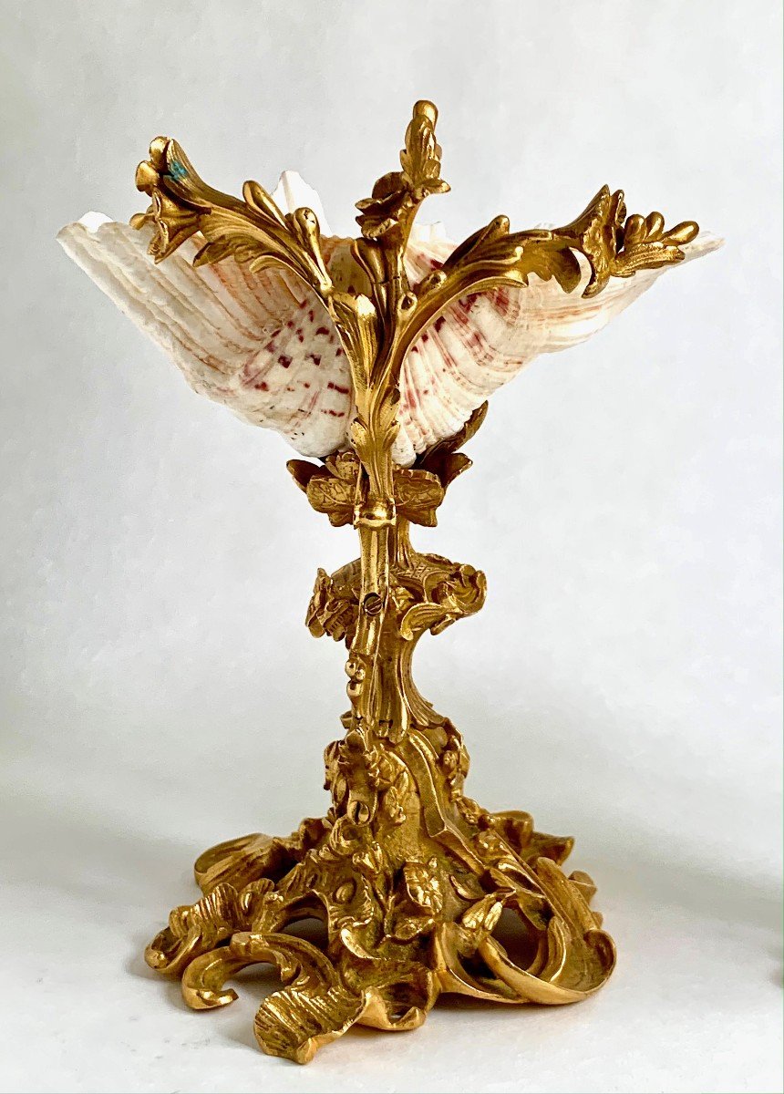 Pair Of Tazzas / Empty Pockets, Holy Water Shells, Louis XV - Cabinet Of Curiosities - 19th Century-photo-4