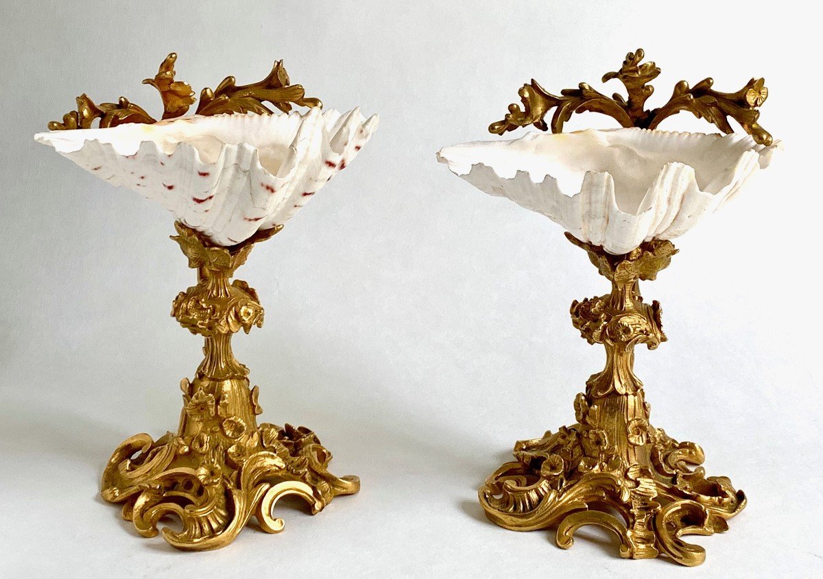 Pair Of Tazzas / Empty Pockets, Holy Water Shells, Louis XV - Cabinet Of Curiosities - 19th Century