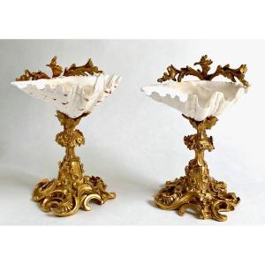 Pair Of Tazzas / Empty Pockets, Holy Water Shells, Louis XV - Cabinet Of Curiosities - 19th Century