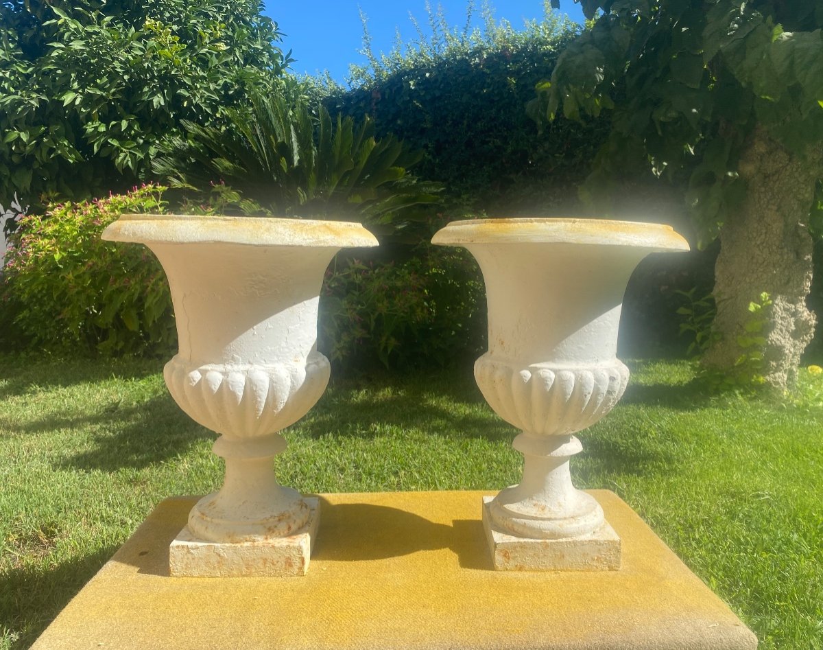 Pair Of 19th Century Cast Iron Medici Vases 