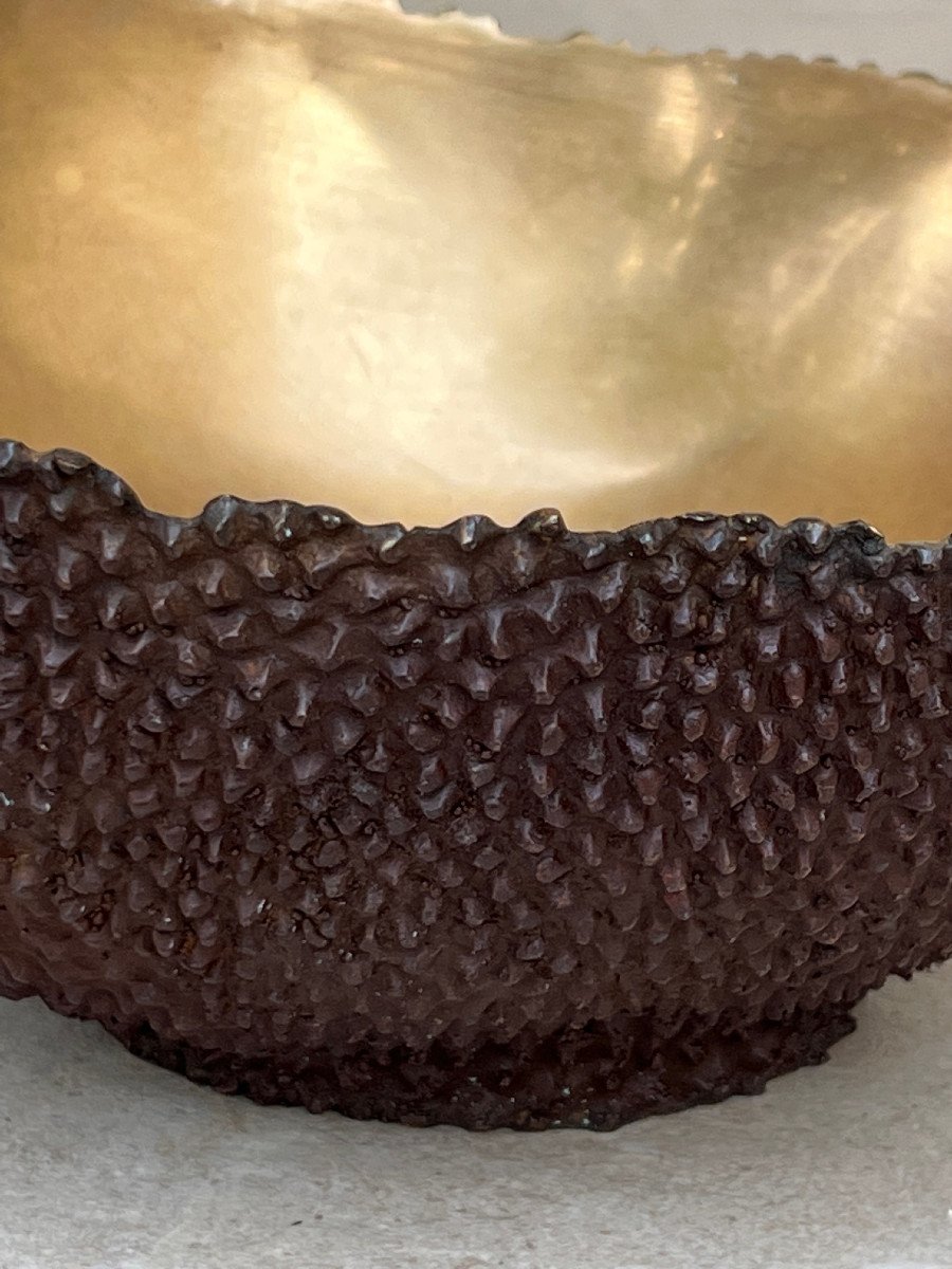 Bronze Jackfruit-photo-2